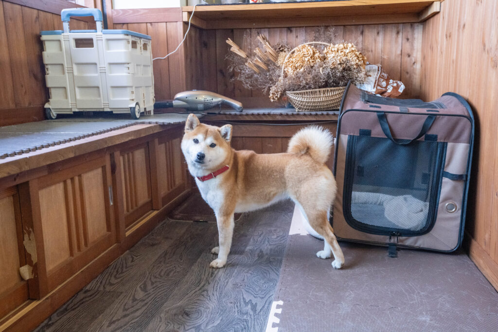 訪問理美容サービス 髪ともだち 土岐店